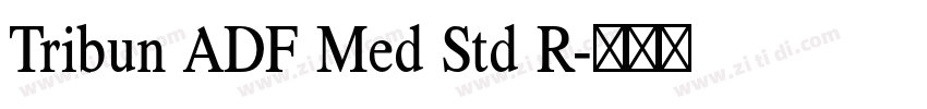 Tribun ADF Med Std R字体转换 Tribun ADF Med Std R字体转换
